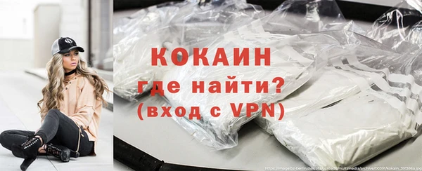 ПСИЛОЦИБИНОВЫЕ ГРИБЫ Гусев