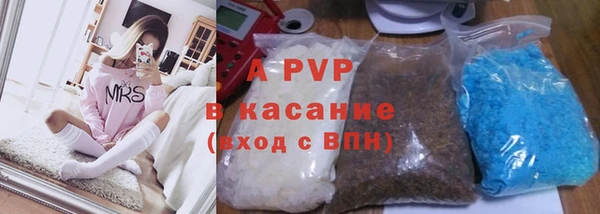 ПСИЛОЦИБИНОВЫЕ ГРИБЫ Гусев