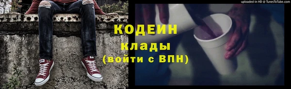 ПСИЛОЦИБИНОВЫЕ ГРИБЫ Гусев