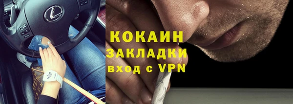 ПСИЛОЦИБИНОВЫЕ ГРИБЫ Гусев