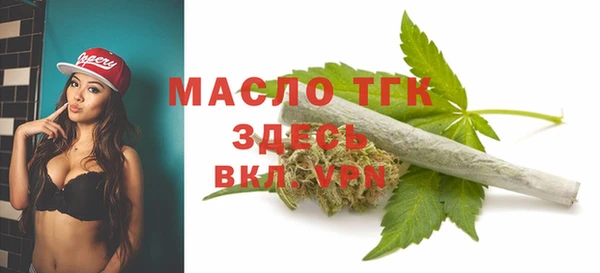 соль ск Гусь-Хрустальный