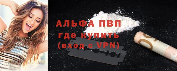 ПСИЛОЦИБИНОВЫЕ ГРИБЫ Гусев