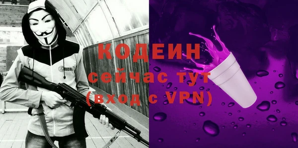 ПСИЛОЦИБИНОВЫЕ ГРИБЫ Гусев